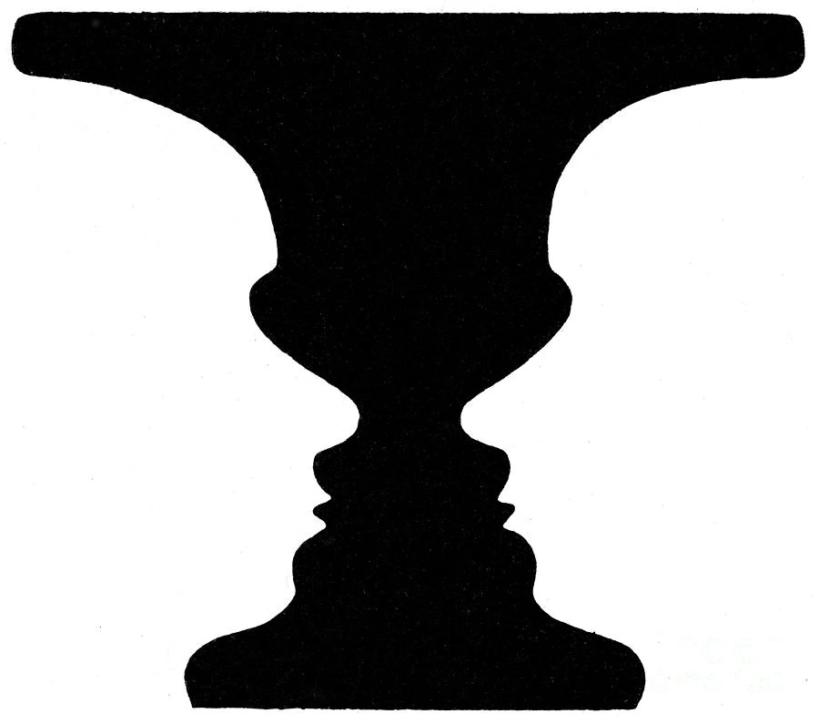 Image ambiguë 3